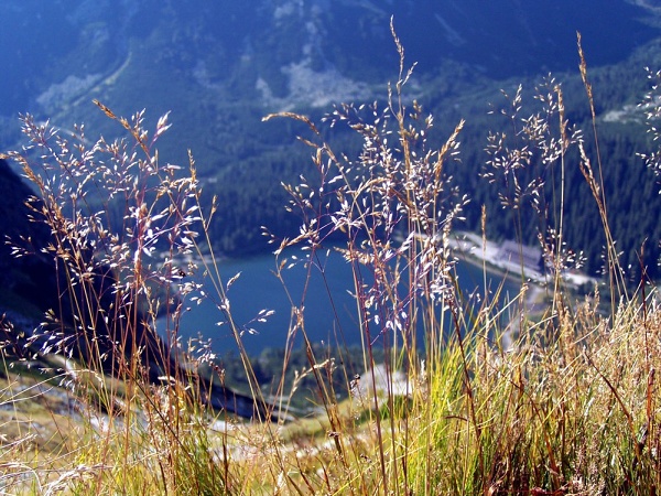 img00025.jpg
